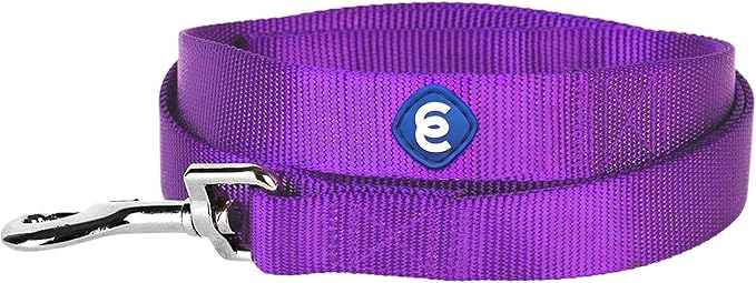 Blueberry Pet Essentials Dark Orchid Dog Leash for Large - 4' * 1" Dogs | Heavy Duty Nylon Lead | Lightweight Puppy & Cat Leash for Walking & Training