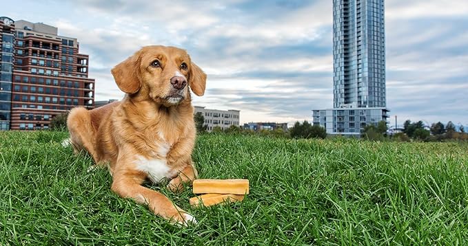 peaksNpaws Himalayan Yak Chews, High Protein Dog Treat for Aggressive Chewers, Natural, Long Lasting, Lactose Free Chew Stick for Pet Under 35 lbs, 6 Medium Treats, 100% Eco-Friendly Packaging