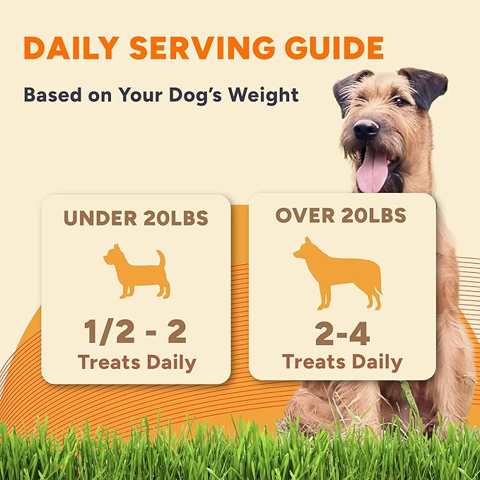 Gaines Family Farmstead Pumpkin & Sweet Potato Dog Bones – 6 oz Bag, Natural, Grain-Free Dog Treats for Digestive Health & Immunity – High-Fiber, Vitamin-Rich Chews, Made in USA