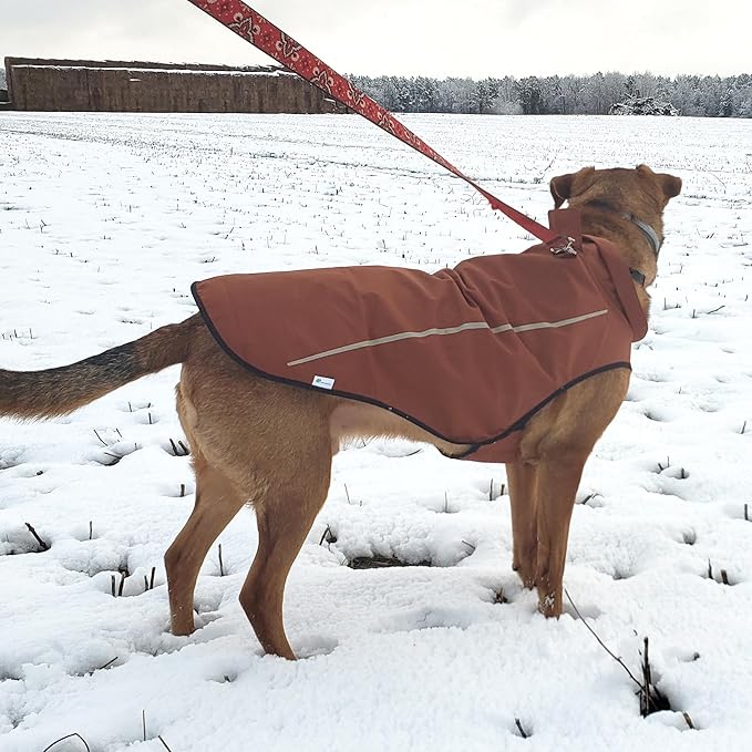 Mile High Life Dog Raincoat, Adjustable Waterproof Reflective Rain Jacket for Small Medium Large Dogs, Lightweight Breathable Pet Rain Coat with Leash Hole(Brown,S Chest 22-25")