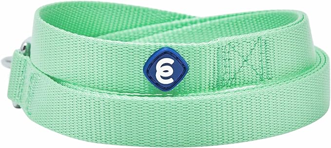 Blueberry Pet Essentials Pastel Green Dog Leash for Medium - 5' * 3/4" Dogs | Heavy Duty Nylon Lead | Lightweight Puppy & Cat Leash for Walking & Training
