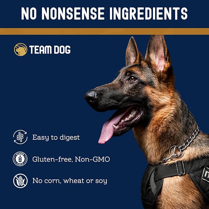 Team Dog Essential Blend Premium Herring & Salmon Dog Food | Sensitive Stomach Dog Food | Gluten & GMO Free, No Corn, Wheat, No Soy Chicken Free | All Life Stage Formula (33 lb)