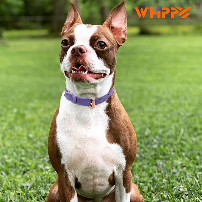 WHIPPY Leather Dog Collar for Small Medium Large Dog Adjustable Soft Breathable Leather Padded Puppy Collar with Alloy Buckle Heavy Duty Waterproof Classic Dog Pet Collar,Purple,L