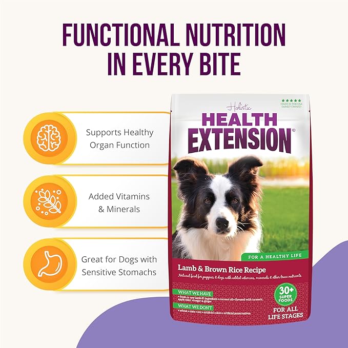 Health Extension Lamb & Brown Rice Dry Dog Food, Protein Packed Formula with Probiotics & Superfoods for Digestion & Coat Health (4lb)