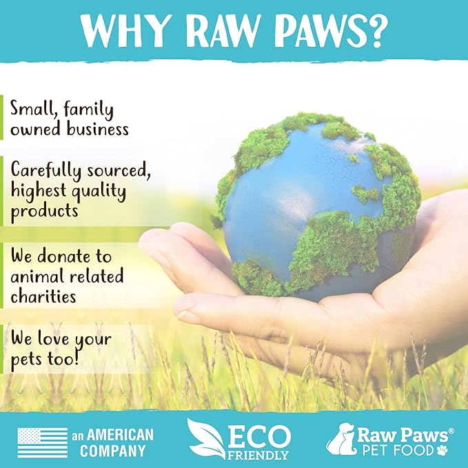 Raw Paws Catnip Balls for Cats, (6-Count) - Interactive Cat Toy for Indoor Cats - Cat Nip Licking Balls