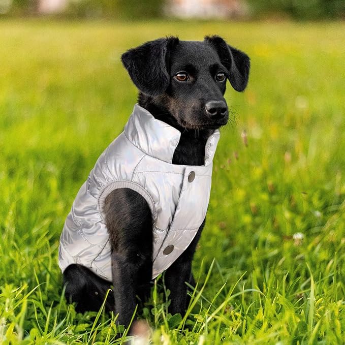 ASENKU Dog Winter Coat - Waterproof Windproof Dog Jacket, Warm Snowproof Doggie Puffer Vest for Cold Weather, Lightweight Snow Coats for Small Medium Large Dogs (Silver, L)