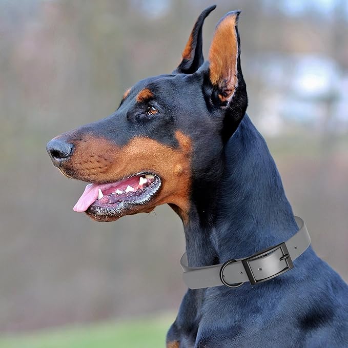 Dogline Biothane Waterproof Dog Collar Strong Coated Nylon Webbing with Black Hardware Odor- Proof for Easy Care Easy to Clean High Performance Fits Small Medium or Large Dogs, Battleship Gray