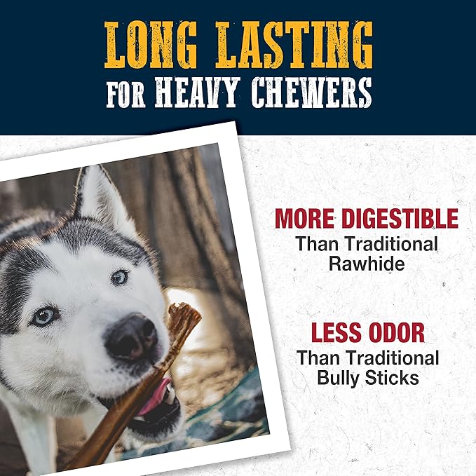 Cadet Bully Hide Sticks for Large Dogs – All-Natural Beef Pizzle, High Protein, Low Fat, Long-Lasting, Grain & Rawhide-Free Dog Chews for Aggressive Chewers, Large (8 Count)