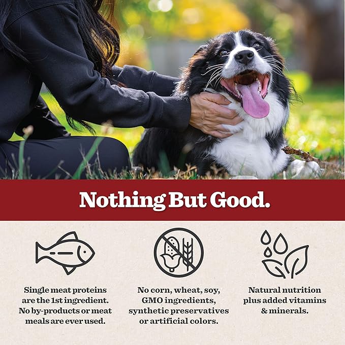 Dr. Pol Grain Free Salmon Dog Food - Premium Natural Dry Dog Food, Limited Ingredient High Protein Veterinarian Formulated Kibble for Any Size or Stage, Allergies, Sensitive Stomach, Salmon 12lb Bag
