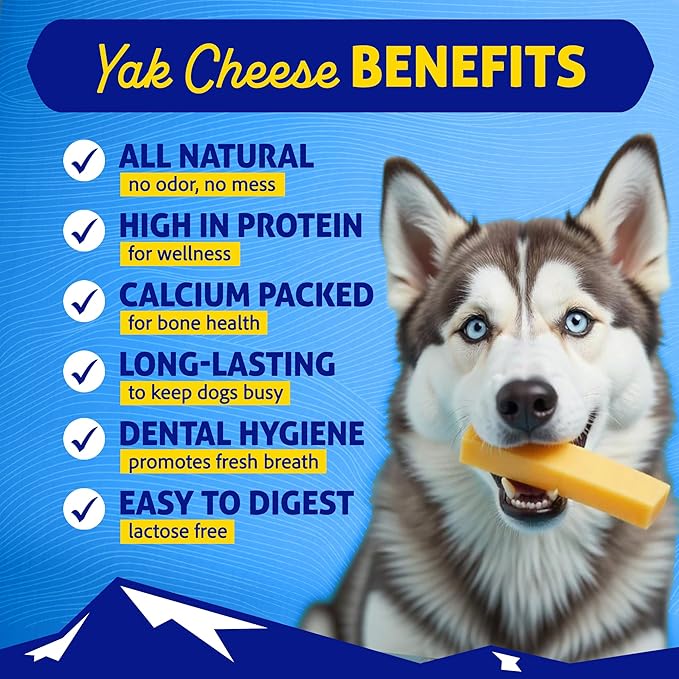 Himalayan Dog Chew Original Yak Cheese Chew, Chicken, 1 Medium Stick, 2.3 oz, Gluten Free, Healthy Treats, Grain & Lactose Free 100% Natural, Long Lasting, for Dogs Under 35 lbs