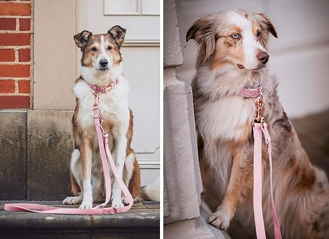 Soft Leather Dog Collar and Leash (6.6') Set - Stylish Rose Gold Heavy Duty Metal Buckle, 4 Adjustable Lengths Leash for Small Medium Large Dogs - Comfortable & Easy to Clean Pink S(12.2"-16.9")
