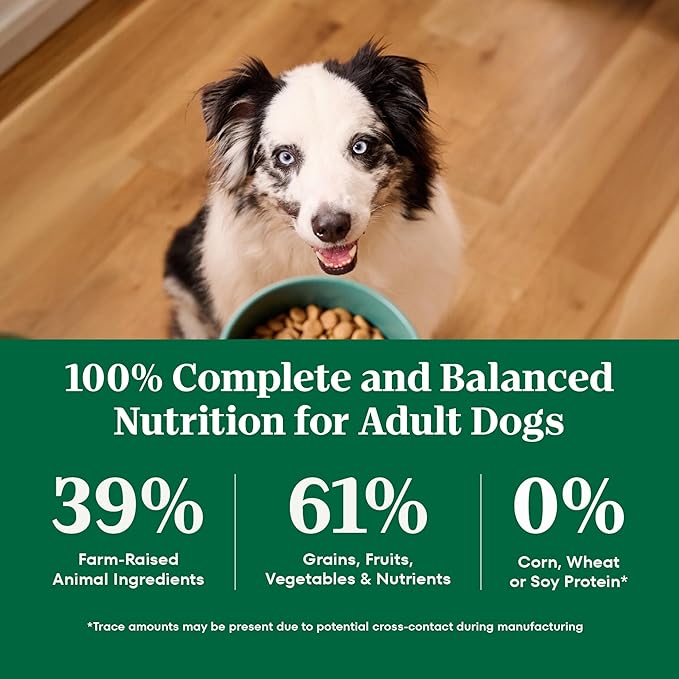Nutro Natural Choice Adult Dry Dog Food, Lamb and Brown Rice Recipe, 12 lbs.