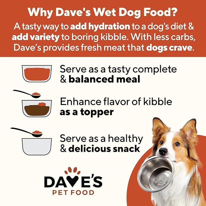 Dave's Pet Food Stewlicoius Grain Free Wet Dog Food (Turkey & Sweet Potato in Gravy), Made in USA Naturally Healthy Canned, Gluten Free Topper, 13.2 oz (12 Pack)