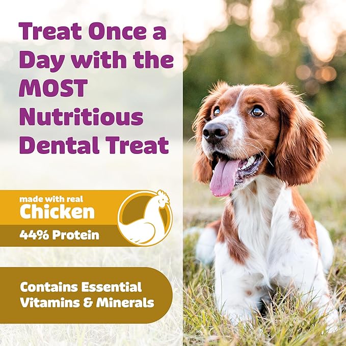 Yummy Combs Dog Dental Treats – Vet VOHC Approved – Delicious Chicken Protein – Removes Tartar with Cleaning Comb Shape – Dental Dog Treats for Extra Large Dogs (36oz, 18 Count)