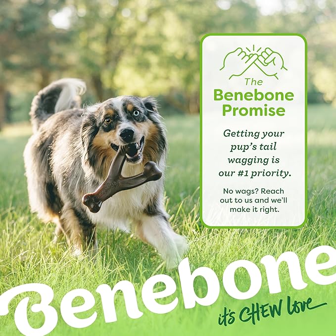 Benebone Small 3-Pack, Wishbone Durable Dog Chew Toy for Aggressive Chewers, Real Bacon, Chicken, Peanut Butter, Made in USA, Variety Pack