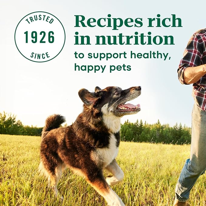 Nutro Max Adult Large Breed Dry Dog Food with Farm-Raised Chicken, 36 lb Bag