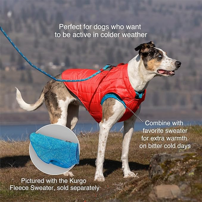 Kurgo Loft Dog Jacket - Reversible Cozy Coat for Outdoor Adventures - Water Resistant - Athletic Fit - Machine Washable Fabric - Reflective Dog Gear - X-Large - Fall Festival