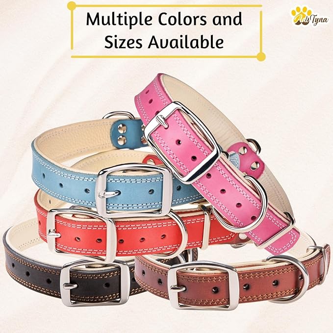 ADITYNA Heavy-Duty Black Leather Dog Collar for Small Dogs - Soft Padded for Comfort - Small Dog Collar for Walking, Training, and Hiking