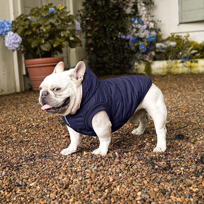 Fleece Lining Extra Warm Dog Hoodie in Winter for Large Dogs Jacket Pet Coats with Hooded,Blue XL