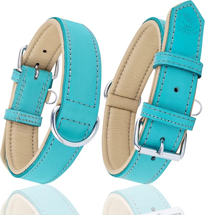 Riparo Adjustable Leather Dog Collar - Heavy Duty Wide Dog Collar for Small, Medium, Large and Extra Large Dogs with Dog Tag Holder (L: 1.5" Wide for 17"-21" Neck, Aqua)