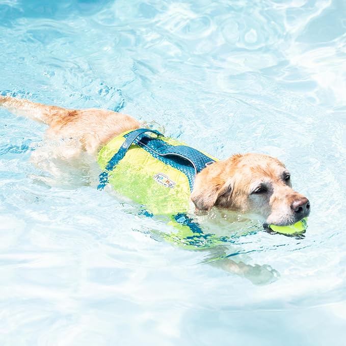 Outward Hound Standley Sport Dog Life Jacket, High-Performance Ripstop Dog Life Vest for Swimming, Boating, and Water Safety, Large, Green