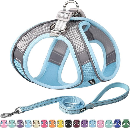 AIITLE No Pull Dog Harness and Leash Set, Step in Adjustable Dog Harness with Padded Vest for All Weather, Dog Leash with Soft Padded Handle, Easy to Put on Small and Medium Dogs Blue S