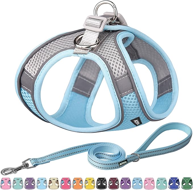 AIITLE Dog Harness, Summer No-Pull Cat Harness with a Leash, Adjustable Reflective Dog Vest, Cat Harness Escape Proof, Outdoor Walking, Camping for Extra Small Dogs and House Cats Blue XXXS