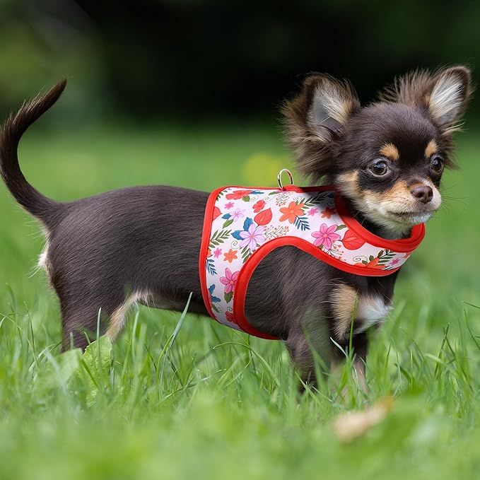 Mile High Life Dog Harness, Air Mesh Floral Vest Harness for 20 lbs Small Dogs & Cats, Easy Get on Adjustable Easy Closures Both Neck and Chest(Red Flower, XS Chest 14"-16")