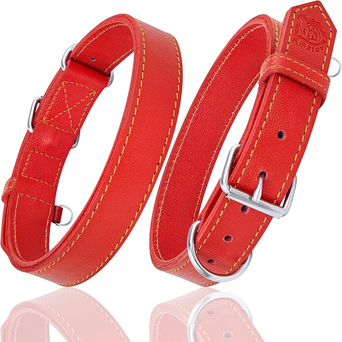 Riparo Dog Collar - Genuine Leather Dog Collars - Heavy Duty Dog Collars for Medium Large and Extra Large Dog Breeds (M: 1” Wide for 14” - 18” Neck, Red)