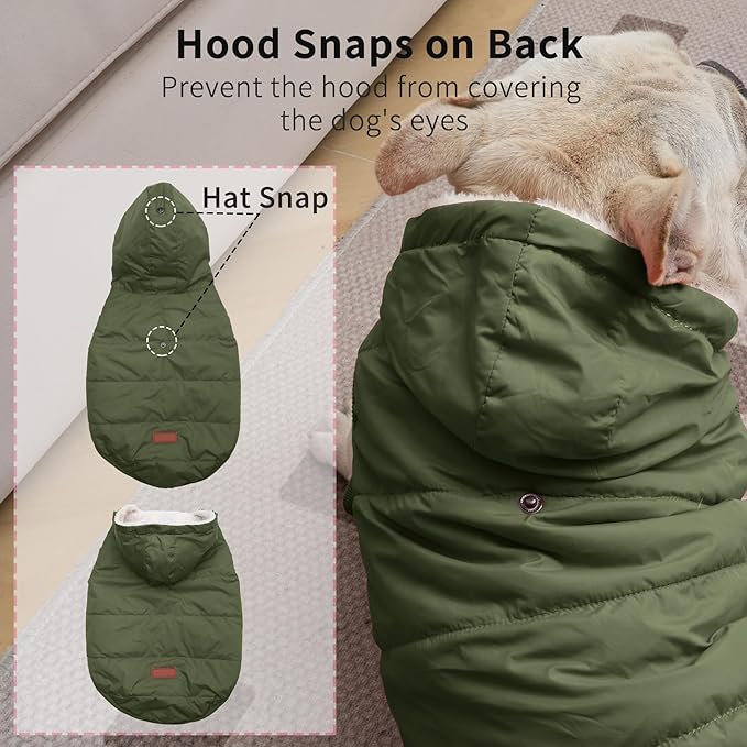Fleece Lining Extra Warm Dog Hoodie in Winter,Small Dog Jacket Puppy Coats with Hooded Green S