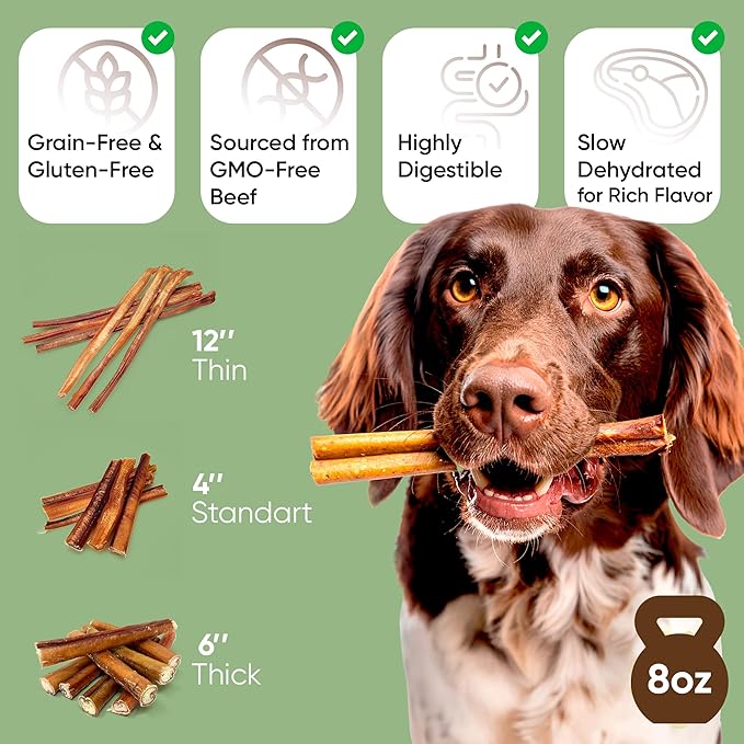 MASSTICK Bully Sticks for Dogs 7 Inch – Extra Thick, Long Lasting, Odor Free Beef Dog Chew Sticks – All Natural, Fully Digestible Treats for Small & Large Dogs – 8oz Bag