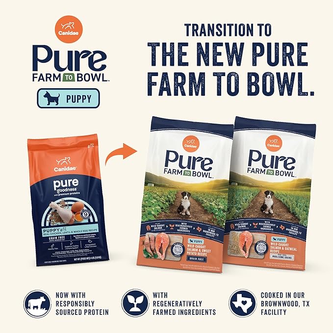 Canidae Pure Limited Ingredient Premium Puppy Dry Dog Food, Real Chicken, Lentil & Whole Egg Recipe, 22 lbs, Grain Free