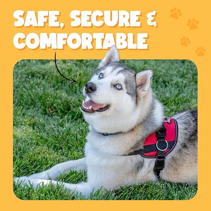 Bark Appeal Purple Plaid No-Pull Dog Harness for Extra Large Sized Pets – Adjustable, Reflective Vest with 3 Leash Clips for Added Control, Easy Walks & Training – XXL