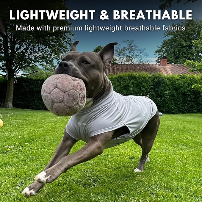 Spark Paws Sunblock Dog T-Shirt, SPF30 Protection, Lightweight Breathable Quick Dry for Dogs with Sensitive Skin - Blue & Grey (Set of 2) - 5XL