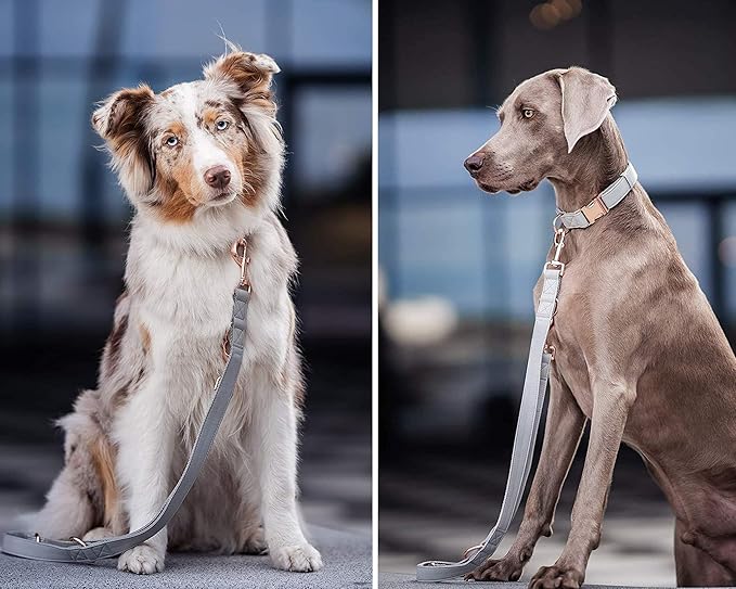 Soft Leather Dog Collar and Leash (6.6') Set - Stylish Rose Gold Heavy Duty Metal Buckle, 4 Adjustable Lengths Leash for Small Medium Large Dogs - Comfortable & Easy to Clean Grey S(12.2"-16.9")