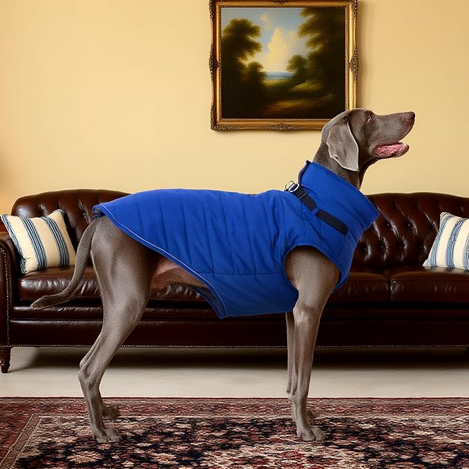 Kuoser XXL Dog Jacket Waterproof | ·Ripstop Fabric·Heavy Duty Zipper·Chest Guard·Alaskan·No Lifting Needed