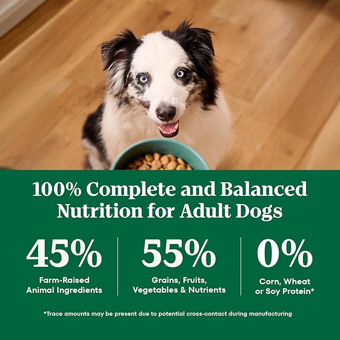 Nutro Natural Choice Chicken & Brown Rice Adult Dry Dog Food Recipe, 5 lb. Bag