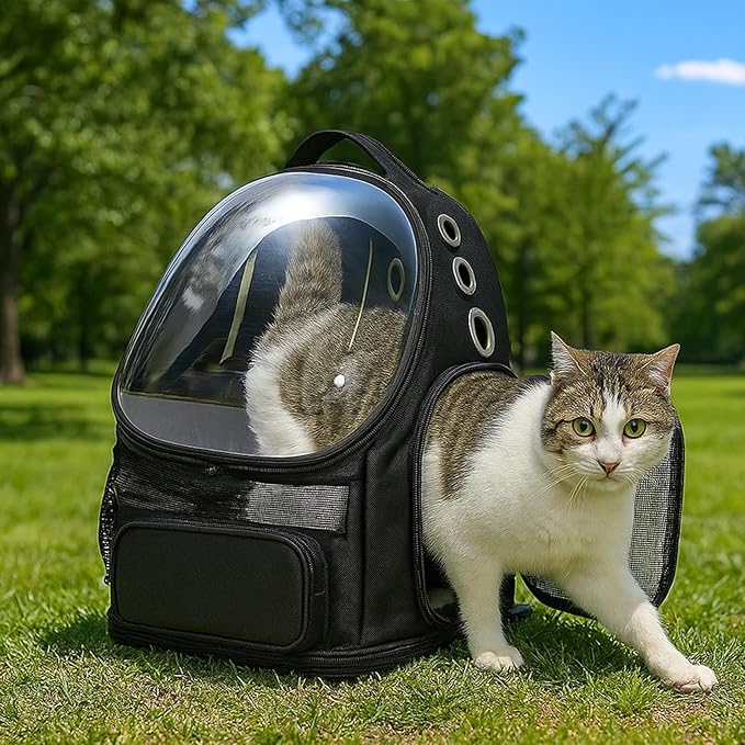 Amazon Basics Pet Carrier Backpack for Small Cats & Dogs, Collapsible Travel Carrier with Bubble Window & Breathable Mesh, Foldable for Travel, Black