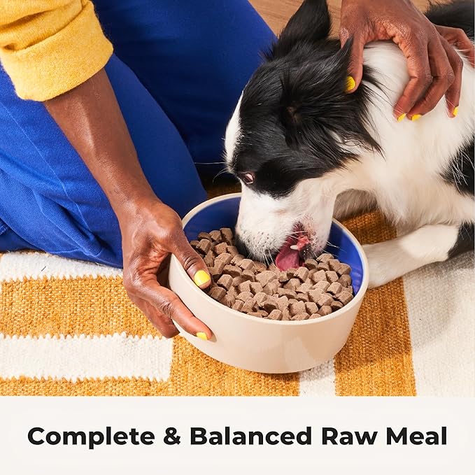 Bow Wow Beef - Freeze Dried Raw Dog Food, Complete Meal, Beef Liver and Kidney Bites for Training, Meal Topper, High Protein, 21g Per Cup, Made in The USA, 20oz Bag