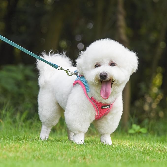 AIITLE Escape Proof Dog Harness - Step in Adjustable Dog Harness No Choke Over with Breathable Mesh and Quick-Release Buckle for Summer- Outdoor Walking, Camping, Training for Medium Dogs Hot Pink XL