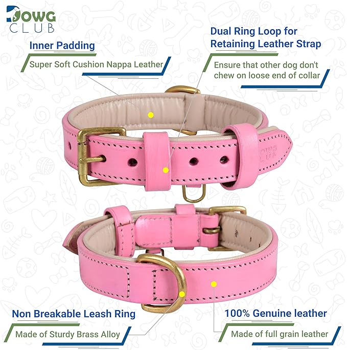 Leather Dog Collar for Medium Dogs, Light Pink, 1 Inch Wide, Genuine Leather, Heavy Duty with Soft Inner Padding, Comfortable and Durable (Blush Pink, M (Fit Neck Size 14.5"-18.5"))