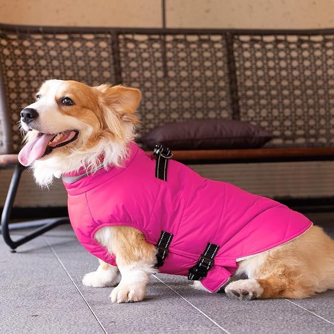 Large Dog Coat with Harness Built-in, Waterproof Reflective Fleece Lined - Warm Windproof Winter Jacket with Back Zipper, Cold Weather Snow Dog Coats - Pink - XL
