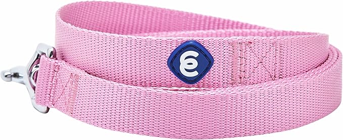 Blueberry Pet Essentials Fuchsia Pink Dog Leash for Medium - 5' * 3/4" Dogs | Heavy Duty Nylon Lead | Lightweight Puppy & Cat Leash for Walking & Training