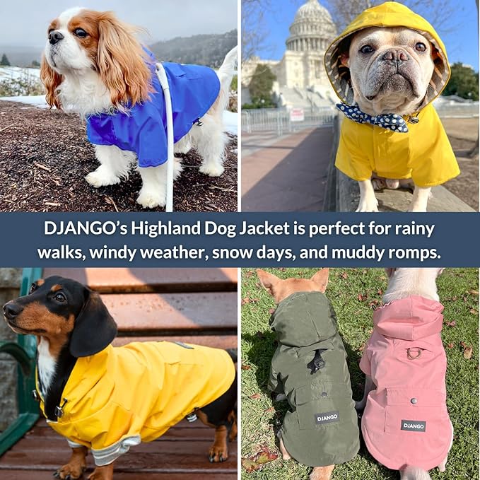 DJANGO Highland Dog Jacket & Raincoat – Water-Repellent, Lined Dog Coat with Hood, Adjustable Fit & Harness Hole – Lightweight Rain & Wind Jacket for Small & Medium Dogs up to 30 lbs (Olive, X-Small)