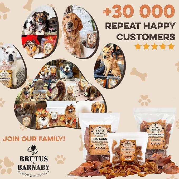 BRUTUS & BARNABY Pig Ear Halves for Dogs, 40 Ct. – All-Natural Single Ingredient Dog Chews, Slow Cooked & Fully Digestible Rawhide Alternative