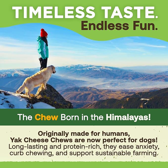 EcoKind Premium Gold Yak Cheese Himalayan Dog Chews, Healthy Dog Treats for Medium Dogs, All Natural, High Protein Dog Chew, Water Buffalo, Medium - 6 Chews