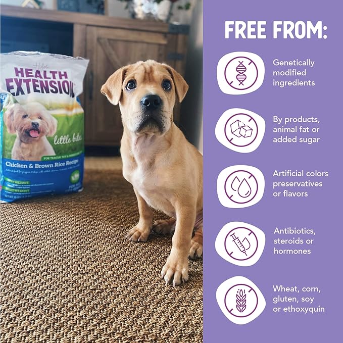 Health Extension Little Bites Dry Dog Food for Toy and Small Breeds, Chicken & Brown Rice Recipe, with Probiotics & Superfoods for Digestion & Coat Health, 18 lb Bag (Pack of 1)