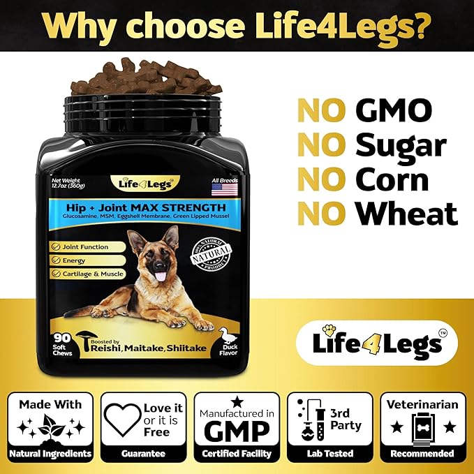 Soft Chews Hip and Joint Supplement for Dogs - Dog Joint Pain Relief Treats - Glucosamine, Chondroitin, Turmeric- Mobility Supplement