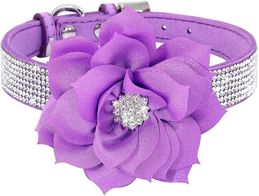 Serijoars Small Dog Collar with Rhinestone Crystal Diamond Colorful Bling Girl Puppy Cat Collars (M, Purple6)