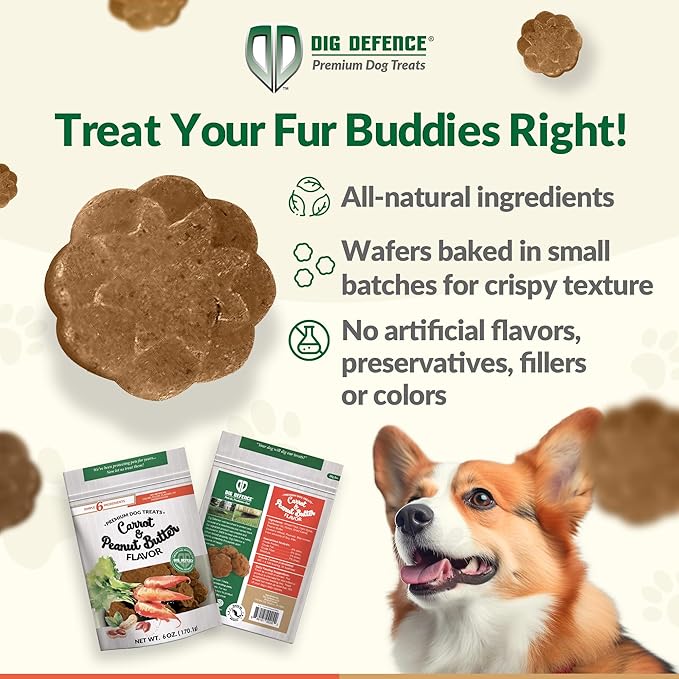 Dig Defence Premium Dog Treats - Carrot & Peanut Butter Gourmet Healthy Dog Treats, All-Natural Ingredients Training Treats for Dogs, 6-Pack